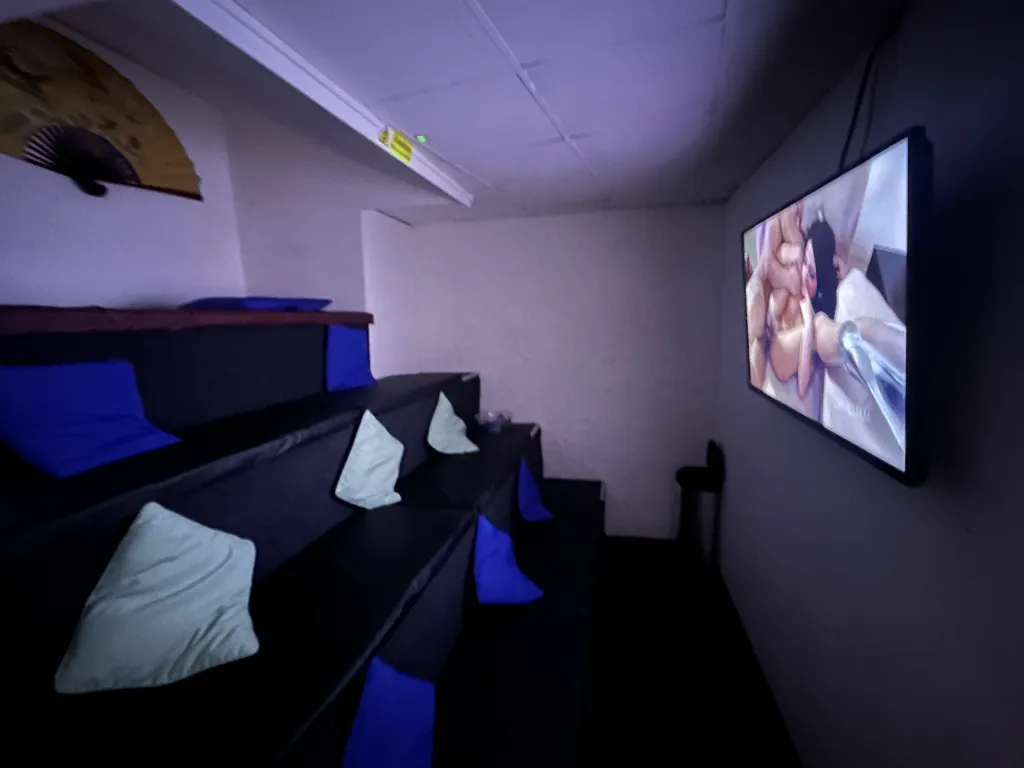 Cinema style viewing room